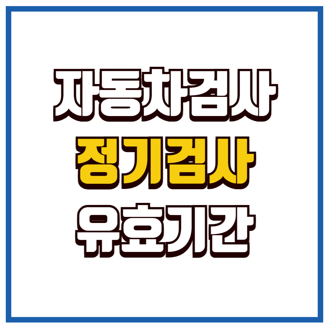 자동차 정기검사
