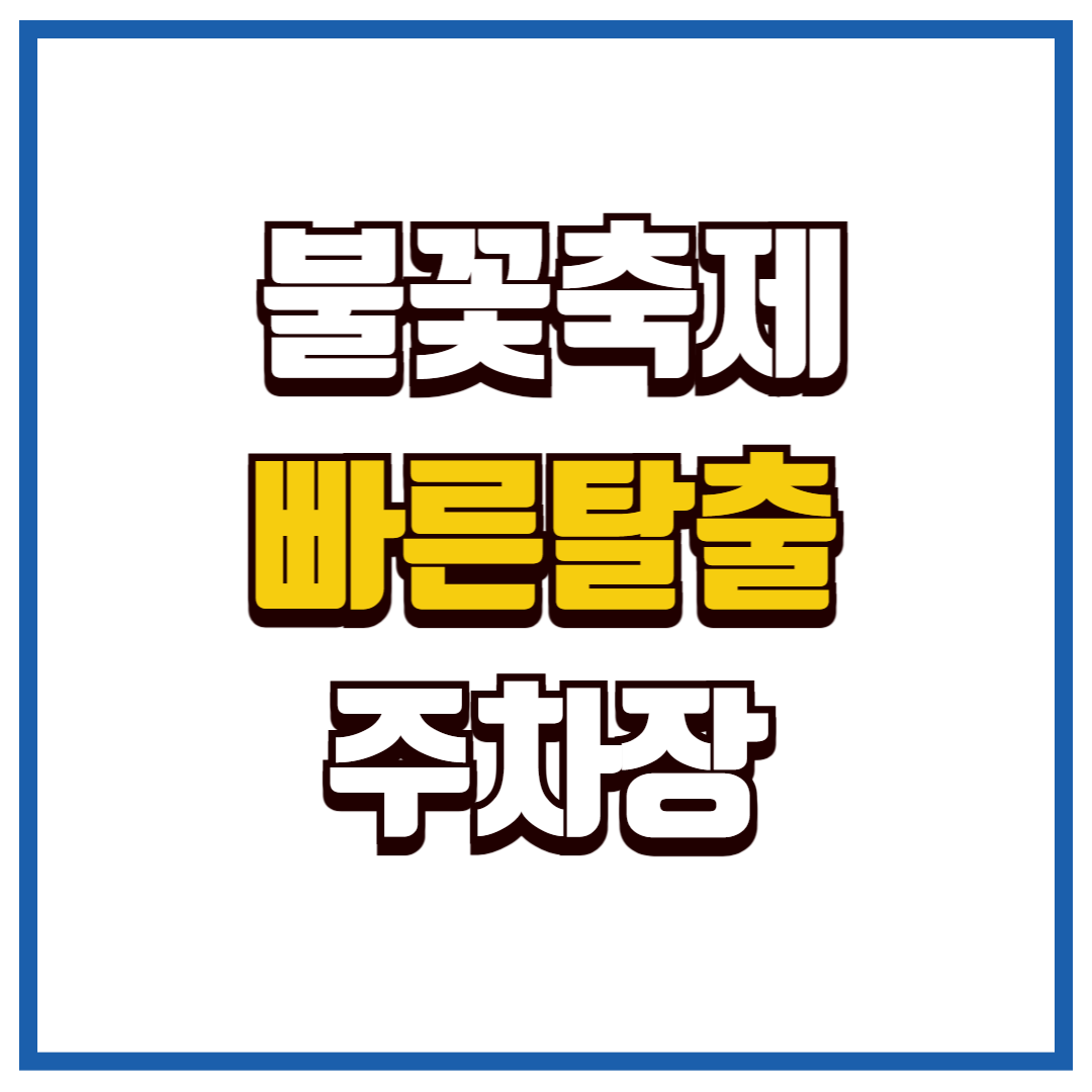 여의도 불꽃축제