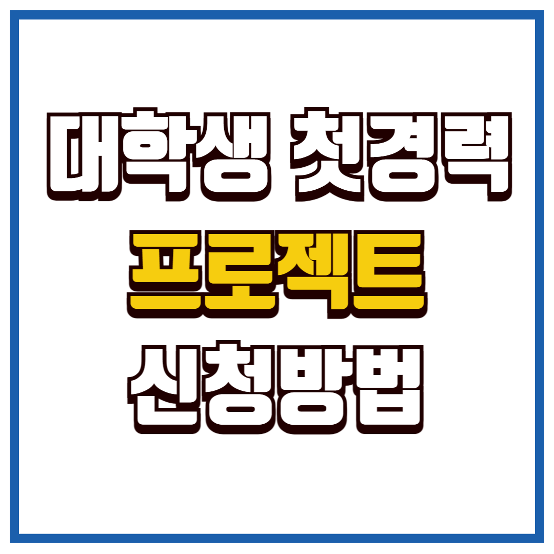 대학생 첫 경력