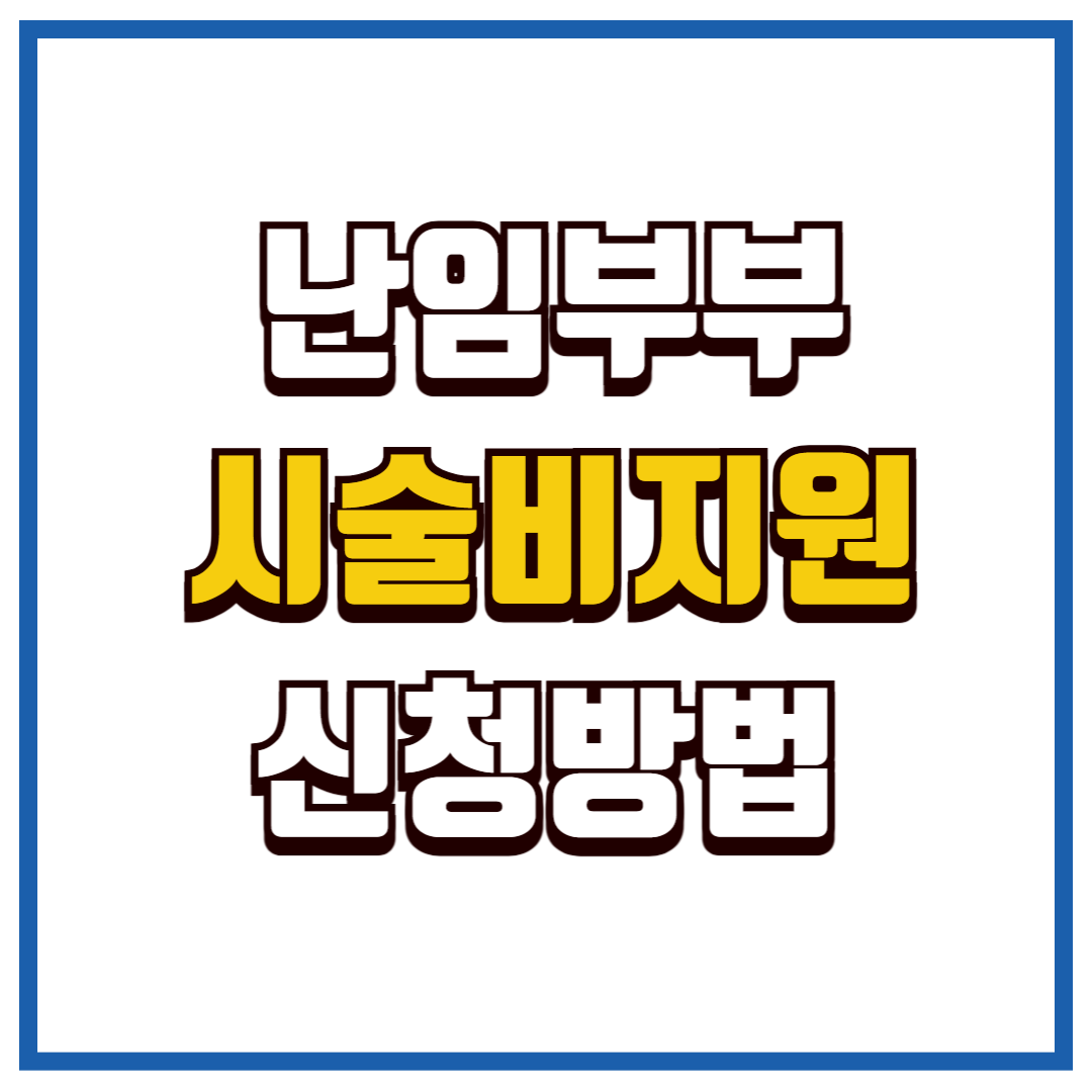 난임부부 시술비