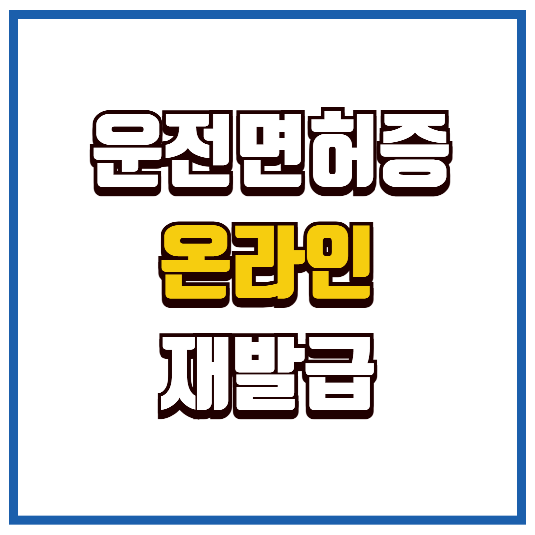운전면허증 재발급