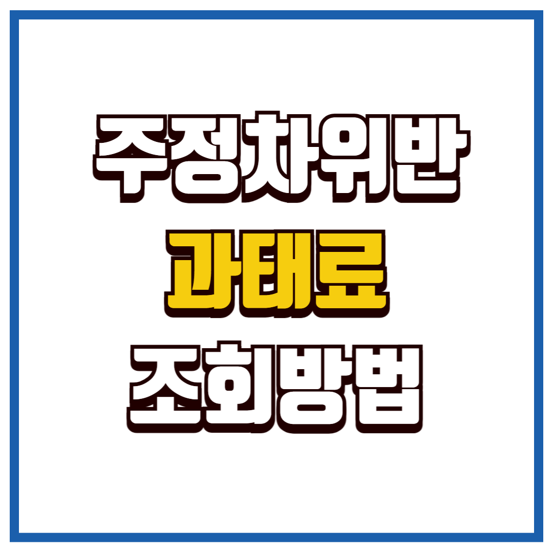 주정차위반 과태료