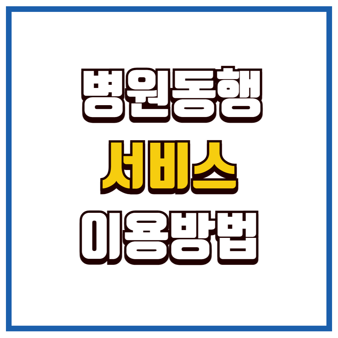 병원동행서비스
