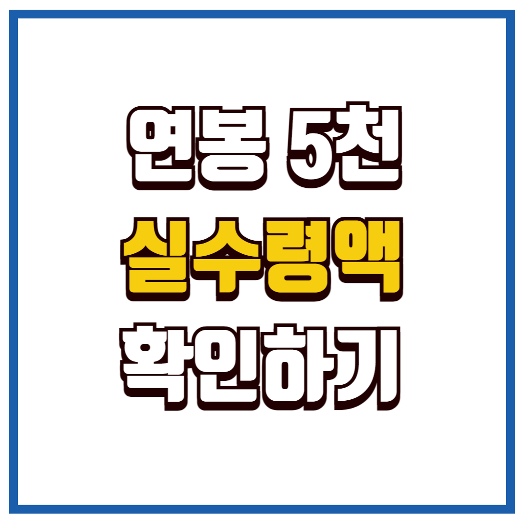 실수령액