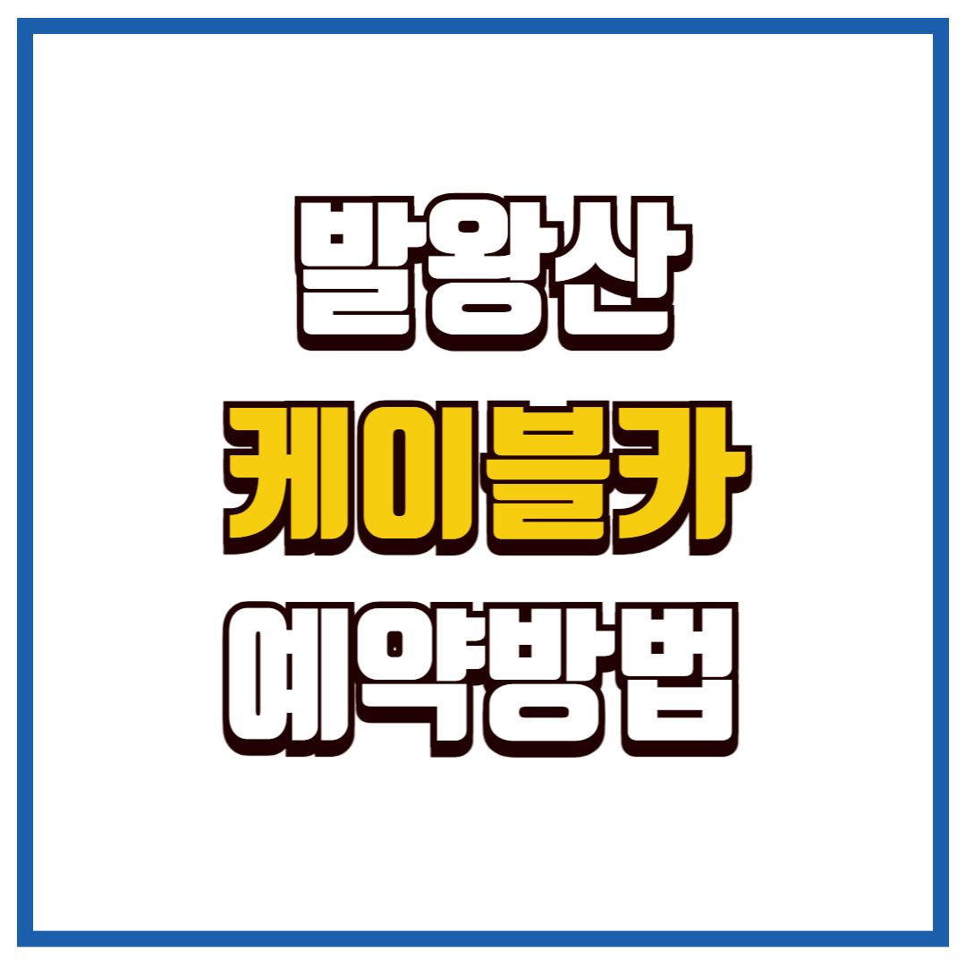 발왕산케이블카