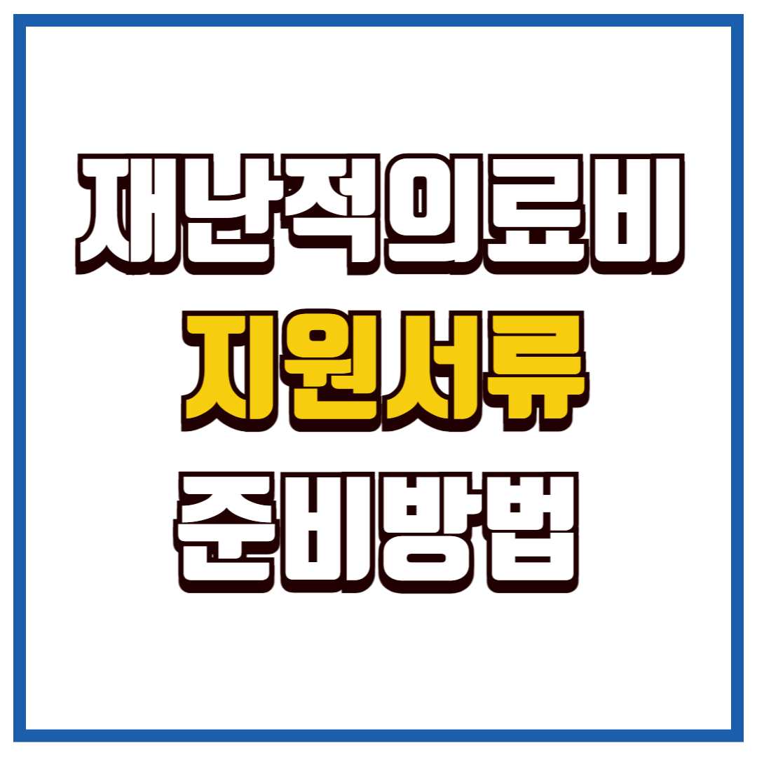 재난적의료비