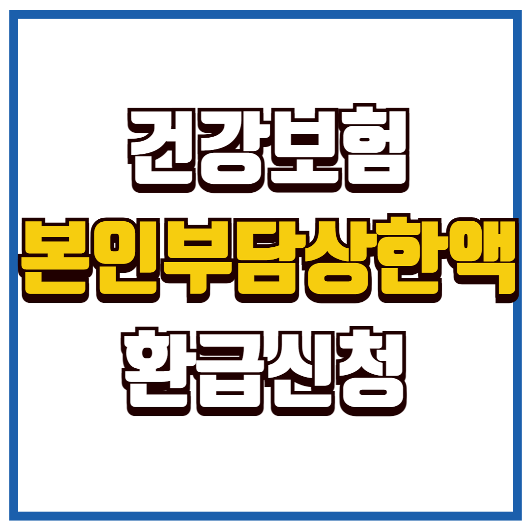 본인부담상한액